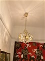 IMG_3294.jpeg