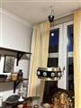 IMG_3299.jpeg