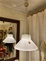 IMG_3509.jpeg