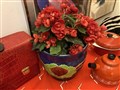 IMG_3547.jpeg