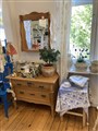 IMG_3818.jpeg