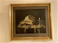 IMG_3344.jpeg